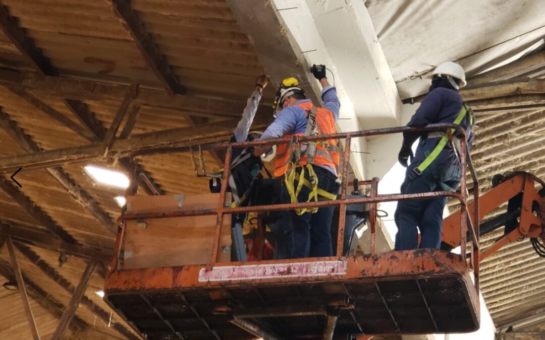 Pathology and Structural Reinforcement of Warehouse P1